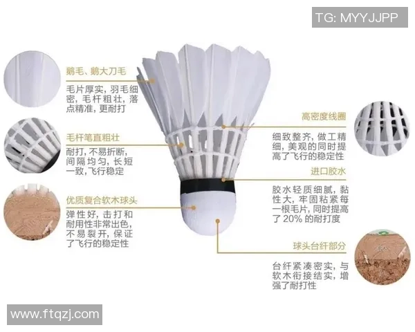 广州羽毛球队防反体系解析：羽毛球战术的创新与应用